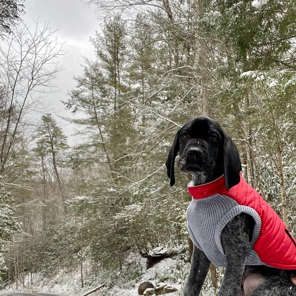 Hello Everyone!! - Picture 2 of 3